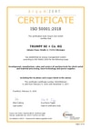 Certification according to DIN EN ISO 50001