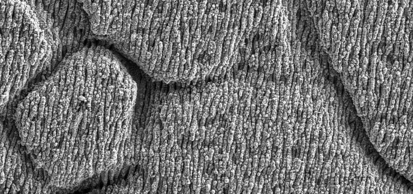 Close-up of the surface structure of blackmarking