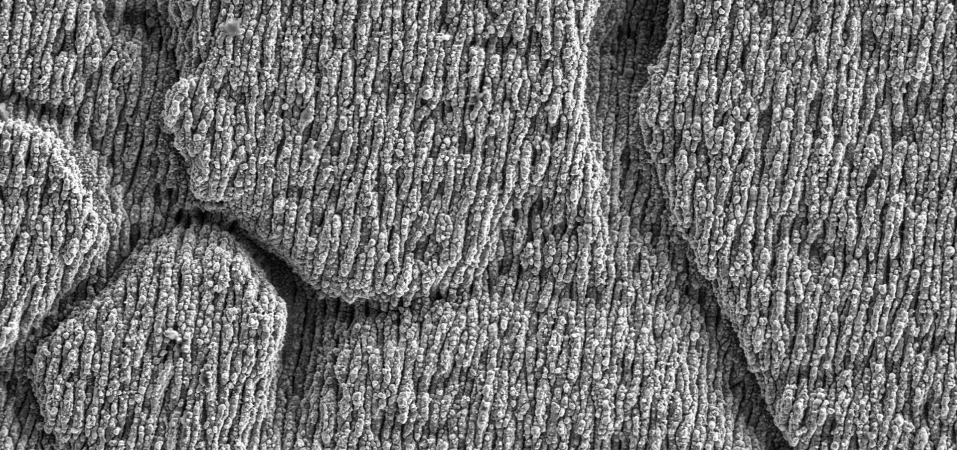 Close-up of the surface structure of blackmarking